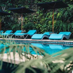 - une piscine avec des chaises longues et des parasols bleus dans l'établissement JavaCove Beach Hotel, à Batukaras