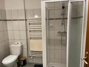 mała łazienka z toaletą i prysznicem w obiekcie La Maringote w mieście Cerisy-la-Forêt