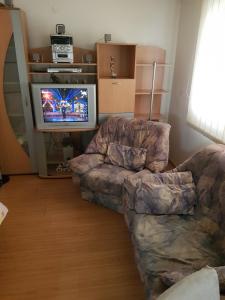 a living room with a couch and a tv at Apartmani Strahinic in Leskovac