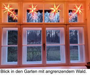 een raam met uitzicht op een kerstboom buiten bij Alte Leimsiederei in Herrnhut