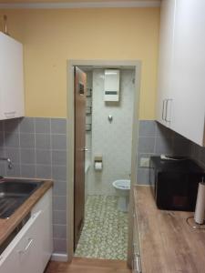 uma casa de banho com WC e um lavatório na cozinha em Kati Appartement em Bad Hönningen