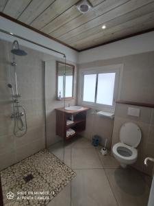 a bathroom with a shower and a toilet and a sink at VILLA GRONDIN in Cilaos +38 photos