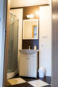 a bathroom with a sink and a shower at Rodzinny apartament FOLKER in Cisiec