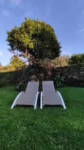 two white chairs sitting in the grass under a tree at Casa Playa de Balares in Ponteceso