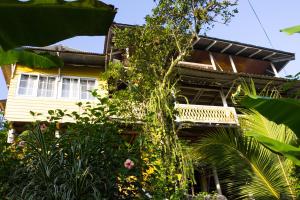 Una casa amarilla con plantas delante. en Bastimentos Hill Guest House, en Bocas Town