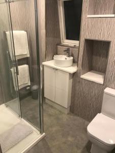 a bathroom with a shower and a toilet and a sink at Riverside Hideaway in Kincraig +51 photos