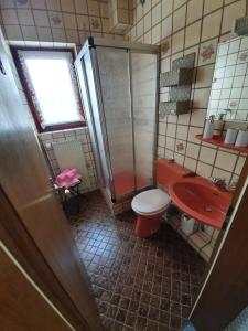 a bathroom with a shower and a toilet and a sink at Haus Drei Seen in Walkenried