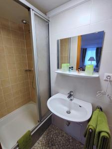 a bathroom with a sink and a shower and a mirror at Room in Guest room - Pension Forelle - double room no01 in Forbach