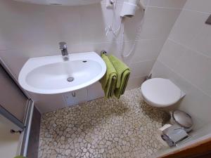 a bathroom with a sink and a toilet at Room in Guest room - Pension Forelle - double room no01 in Forbach