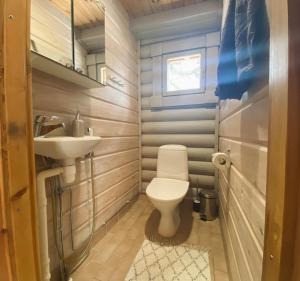 a small bathroom with a toilet and a sink at Latvahonka Cottage in Jämsä
