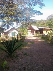 Cabinas Casa jungla