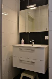 een badkamer met een wastafel en een spiegel bij Woning zeldenrust 6 in Oostkapelle