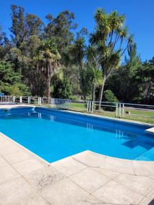 a blue swimming pool with palm trees in the background at VILLAGE PARK in Tandil +24 photos