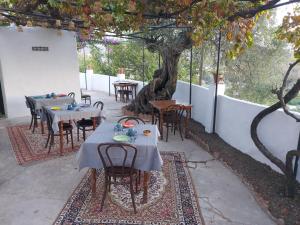 A seating area at Casa Loko