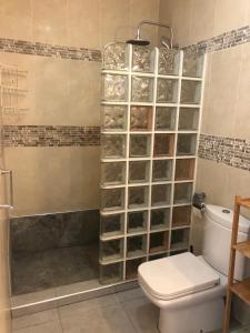 a bathroom with a toilet and a shower with glass shelves at Los tunos campo internacional in Maspalomas