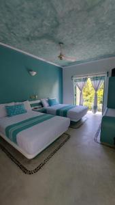 2 camas en un dormitorio con paredes azules y ventana en Delphinus Inn, en Santa Cruz Huatulco