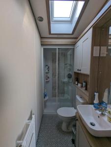 a bathroom with a shower and a toilet and a sink at STUNNING LUXURY Caravan on edge of New Forest on SHOREFIELD Country Park ENTERTAINMENT AND LEISURE PASSES INCLUDED in Milford on Sea