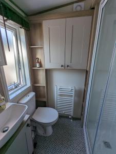uma casa de banho com um WC, um lavatório e um chuveiro em STUNNING LUXURY Caravan on edge of New Forest on SHOREFIELD Country Park ENTERTAINMENT AND LEISURE PASSES INCLUDED em Milford on Sea