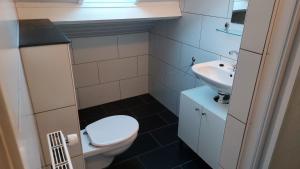 a small bathroom with a toilet and a sink at Appartement vlakbij strand en centrum in Zoutelande