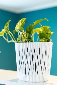 una planta en un jarrón blanco sentado en una mesa en 263 Zentrum Nord Apartment Messe,Hbf,A14, en Leipzig