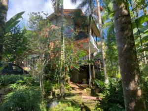 Recanto Ipê Amarelo في باراتي: منزل شجرة في وسط الغابة