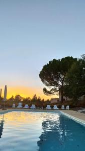 a swimming pool with lounge chairs and a tree at Cortijo EL COSIO in Benamaurel