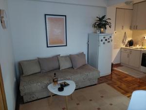 A kitchen or kitchenette at Apartman Đorđević