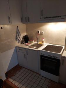 a small kitchen with a stove and a sink at Apartman Đorđević in Kraljevo