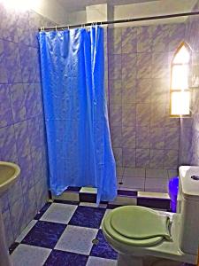a bathroom with a toilet and a blue shower curtain at MESONERO in Ayacucho