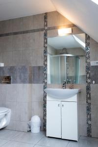 a bathroom with a sink and a toilet at Rodzinny apartament FOLKER in Cisiec