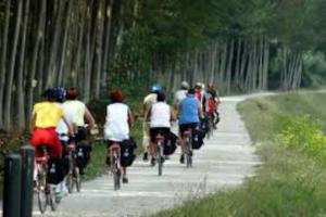 Ποδηλασία στο CASA MANSI Top Class ή στη γύρω περιοχή