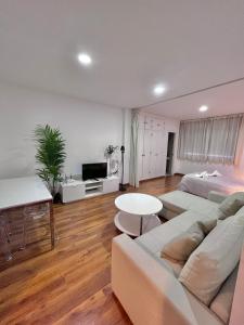 TV a/nebo společenská místnost v ubytování Loft in the heart of Córdoba by gms apartamentos