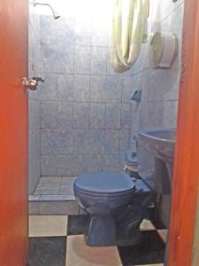 a bathroom with a blue toilet and a sink at MESONERO in Ayacucho
