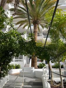 two palm trees in front of a building at Apart Hotel Ponderosa Tenerife in Playa de las Americas