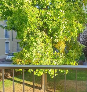 サン・ジェルマン・アン・レーにあるLa Clé de Julesの塀前に緑の葉を持つ木
