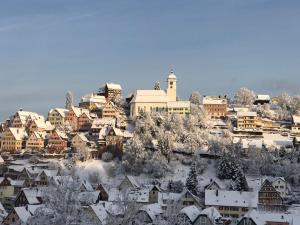 eine schneebedeckte Stadt mit Häusern und Gebäuden in der Unterkunft Retro Ferienwohnung mit Schlossblick im Nordschwarzwald in Altensteig