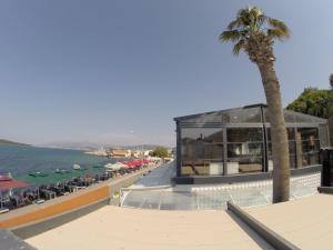 a building with a palm tree next to the ocean at Yakamoz Otel in Urla