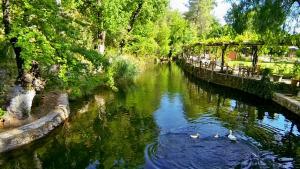 a river with two ducks swimming in the water at Dalya Life in Göcek