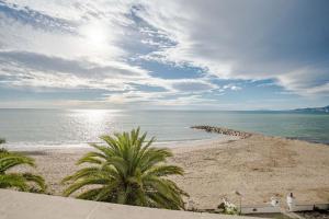 Táj Show holiday homes közelében