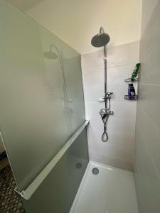 eine Dusche mit Glastür im Bad in der Unterkunft Apartmán Colette in Prag