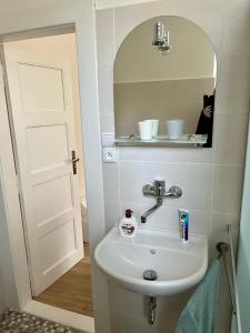 a bathroom with a sink and a cat in a mirror at Apartmán Colette in Prague