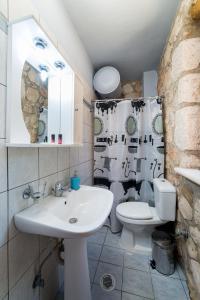 ein Badezimmer mit einem Waschbecken, einem WC und einem Duschvorhang in der Unterkunft Abeloklima country house in Vasilikos