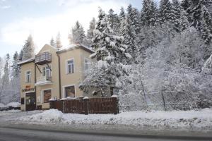 Apartamenty Parkowa v zime