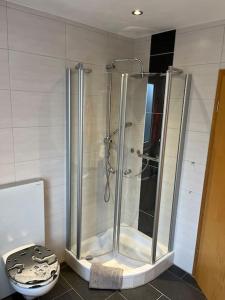um chuveiro com uma porta de vidro na casa de banho em Ferienwohnung in ruhiger Lage em Thurnau
