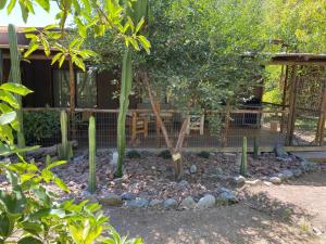 um jardim com cactos e pedras em frente a uma casa em Casa Amatista Travels em Vicuña