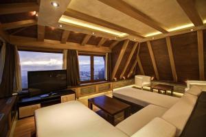 a living room with a couch and a tv at Velvet Studio Zoned Kopaonik in Kopaonik