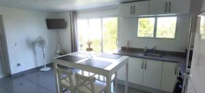 聖馬丁島的住宿－DV Real Philoxénia，厨房配有桌子、水槽和窗户