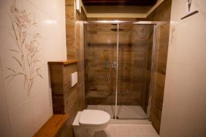 La salle de bains est pourvue d'une douche et de toilettes. dans l'établissement Maison La Bagne, à Aoste