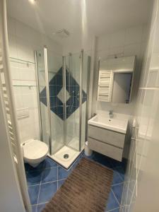 a bathroom with a shower and a toilet and a sink at Ferienwohnung am Ruwer-Hochwald-Radweg in Gutweiler
