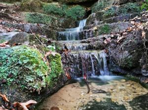 a waterfall on the side of a stone wall at Chambre dans un appartement in Rollingen